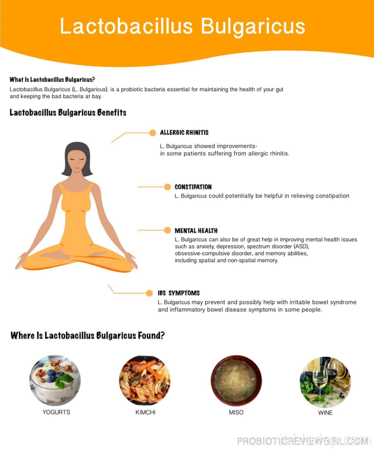 Lactobacillus Bulgaricus1